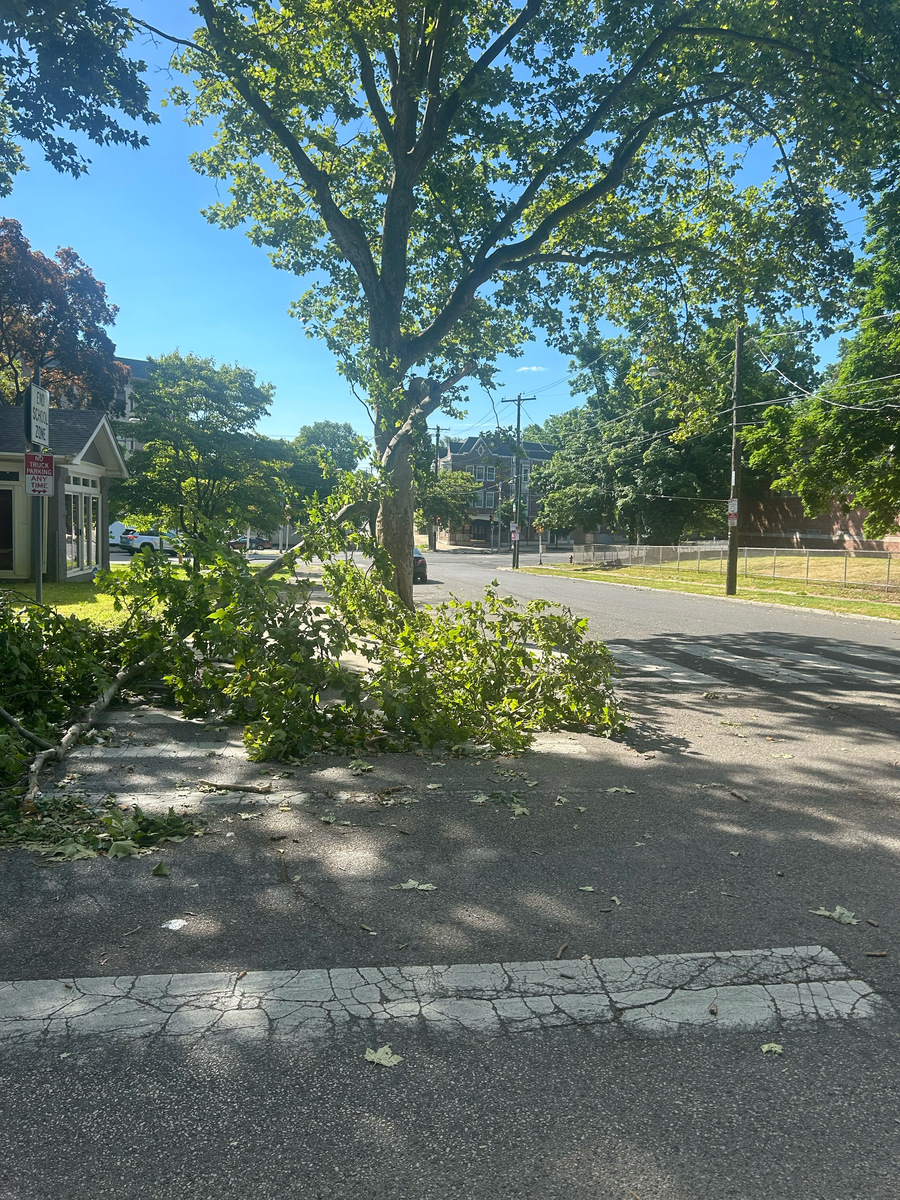 Photographic documentation of the work as submitted to the city's 311 record.