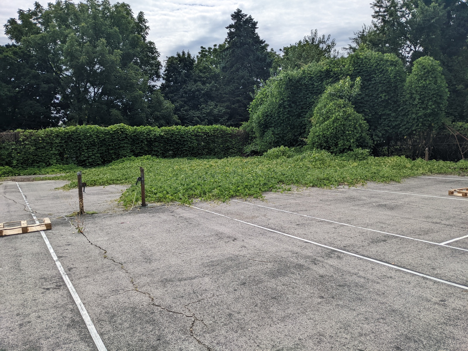 Photographic documentation of the work as submitted to the city's 311 record.