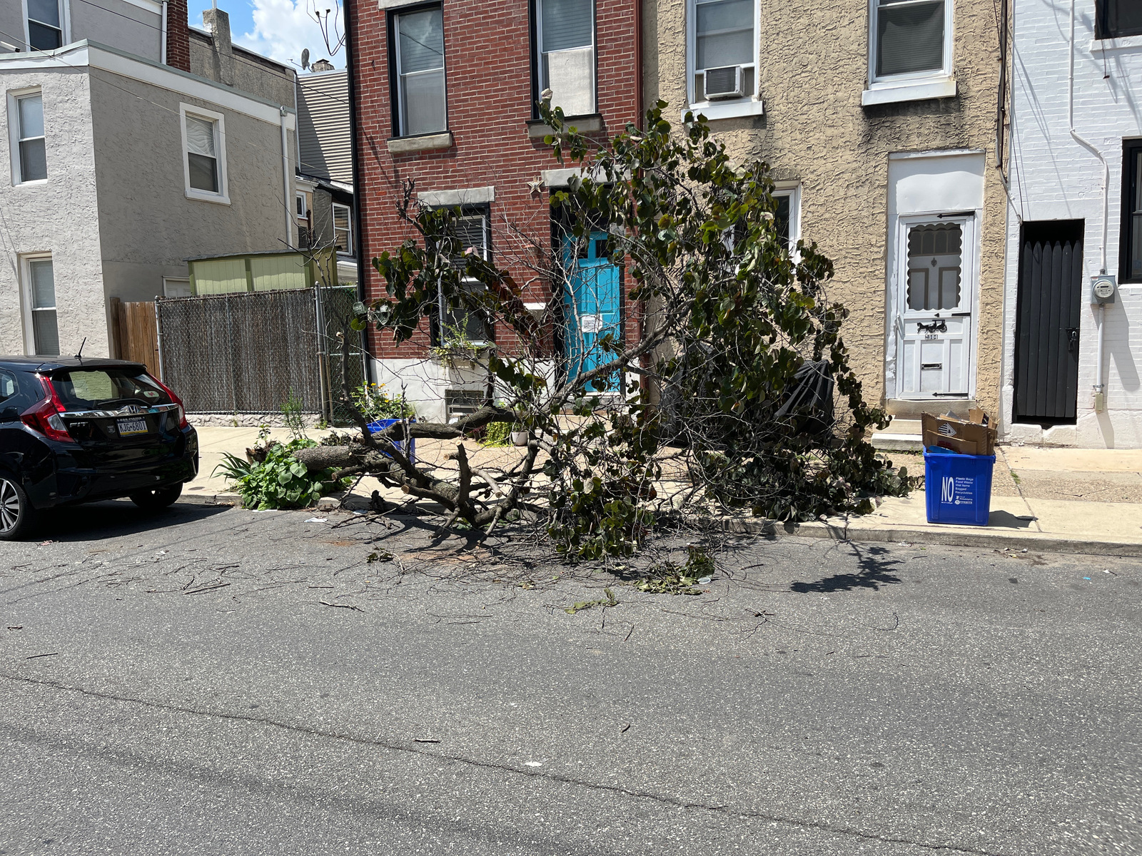 Photographic documentation of the work as submitted to the city's 311 record.