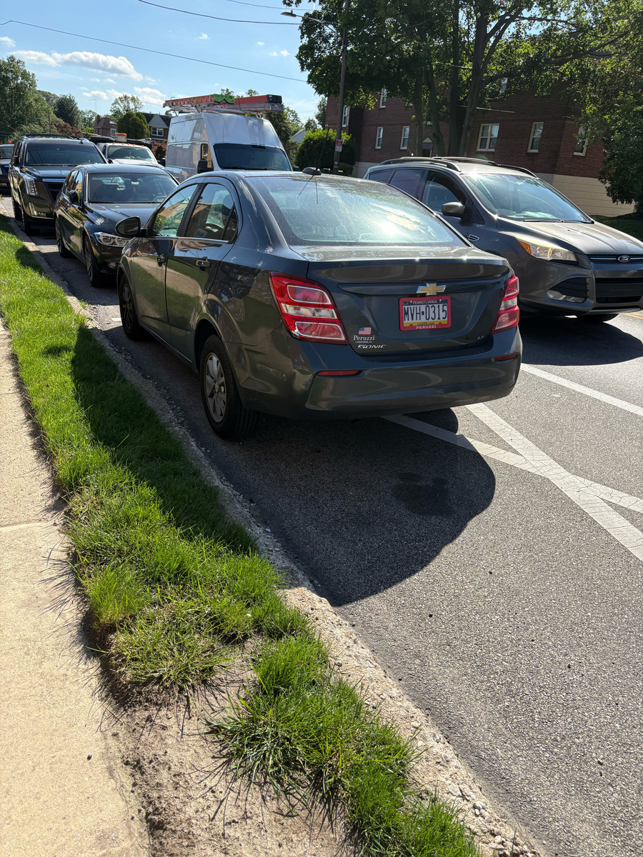 Photographic documentation of the work as submitted to the city's 311 record.
