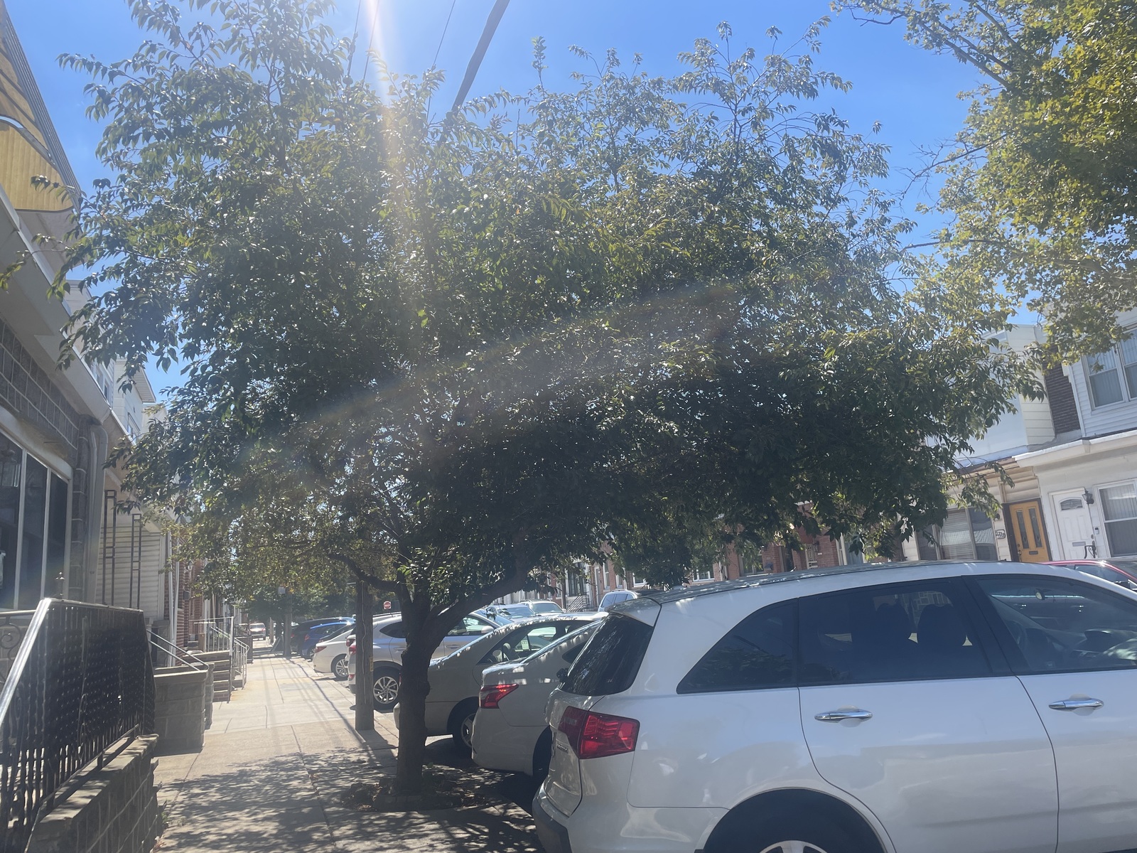 Photographic documentation of the work as submitted to the city's 311 record.