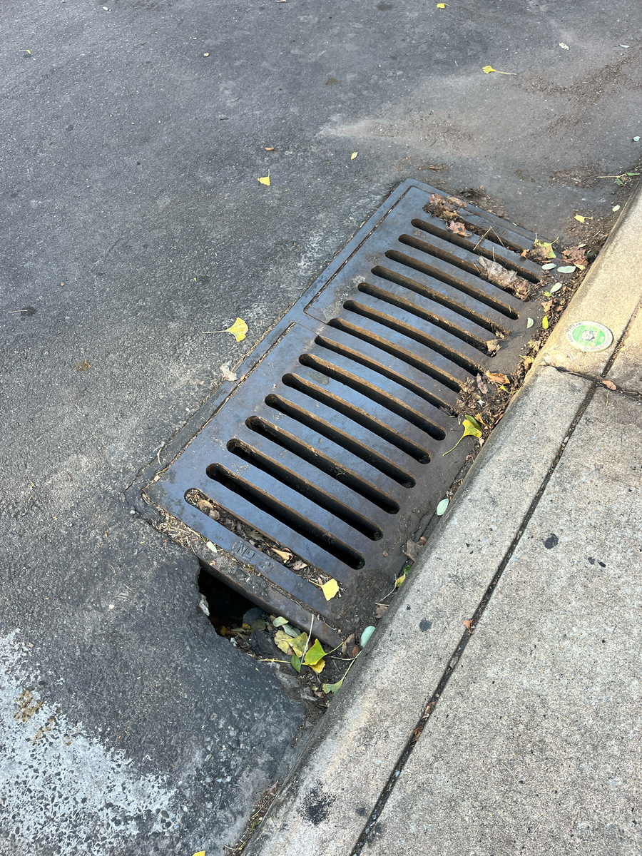 Photographic documentation of the work as submitted to the city's 311 record.
