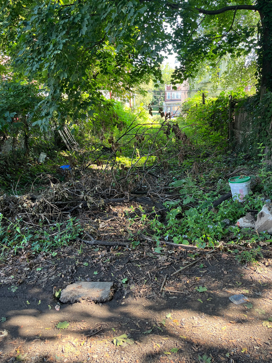 Photographic documentation of the work as submitted to the city's 311 record.