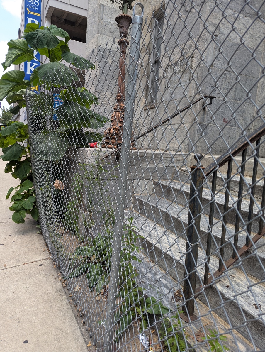 Photographic documentation of the work as submitted to the city's 311 record.