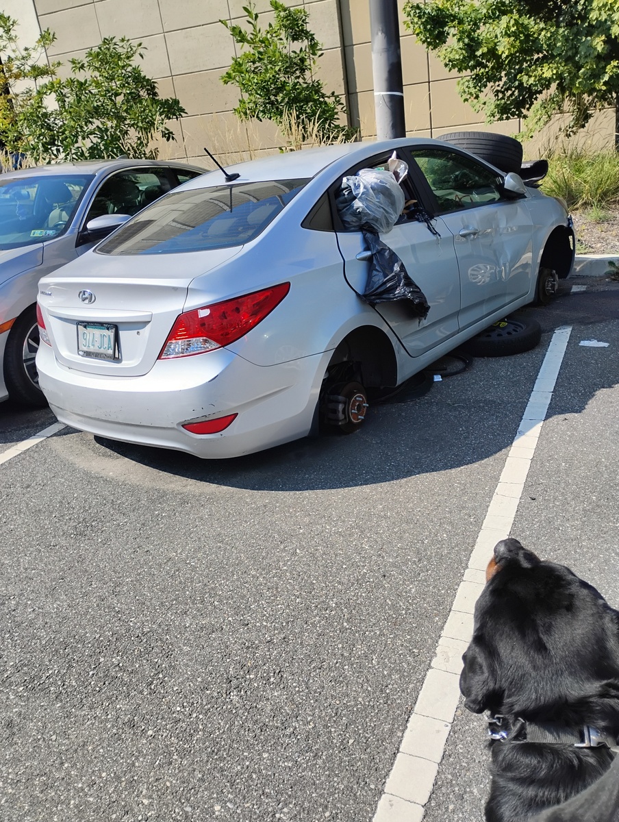 Photographic documentation of the work as submitted to the city's 311 record.