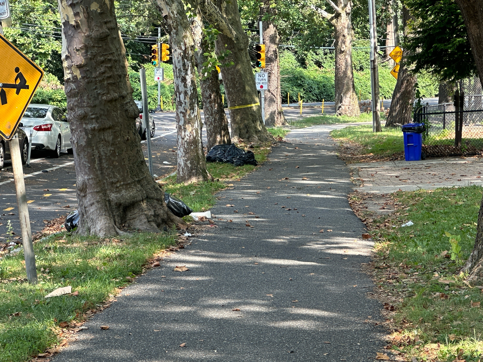 Photographic documentation of the work as submitted to the city's 311 record.