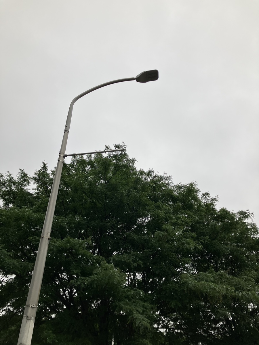 Photographic documentation of the work as submitted to the city's 311 record.