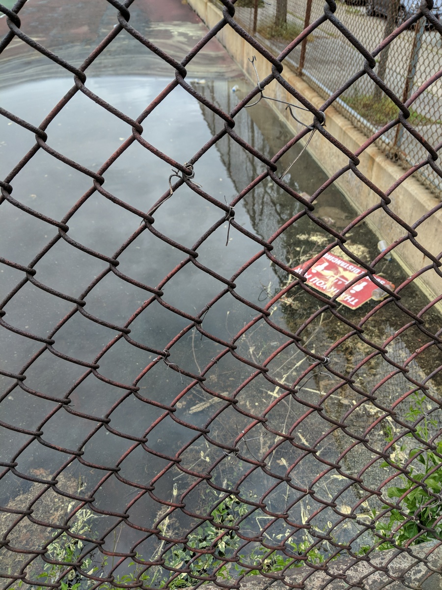 Photographic documentation of the work as submitted to the city's 311 record.
