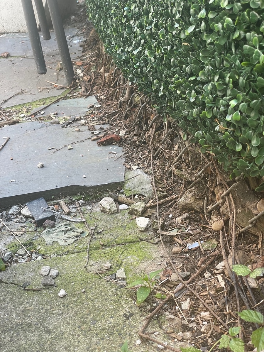 Photographic documentation of the work as submitted to the city's 311 record.