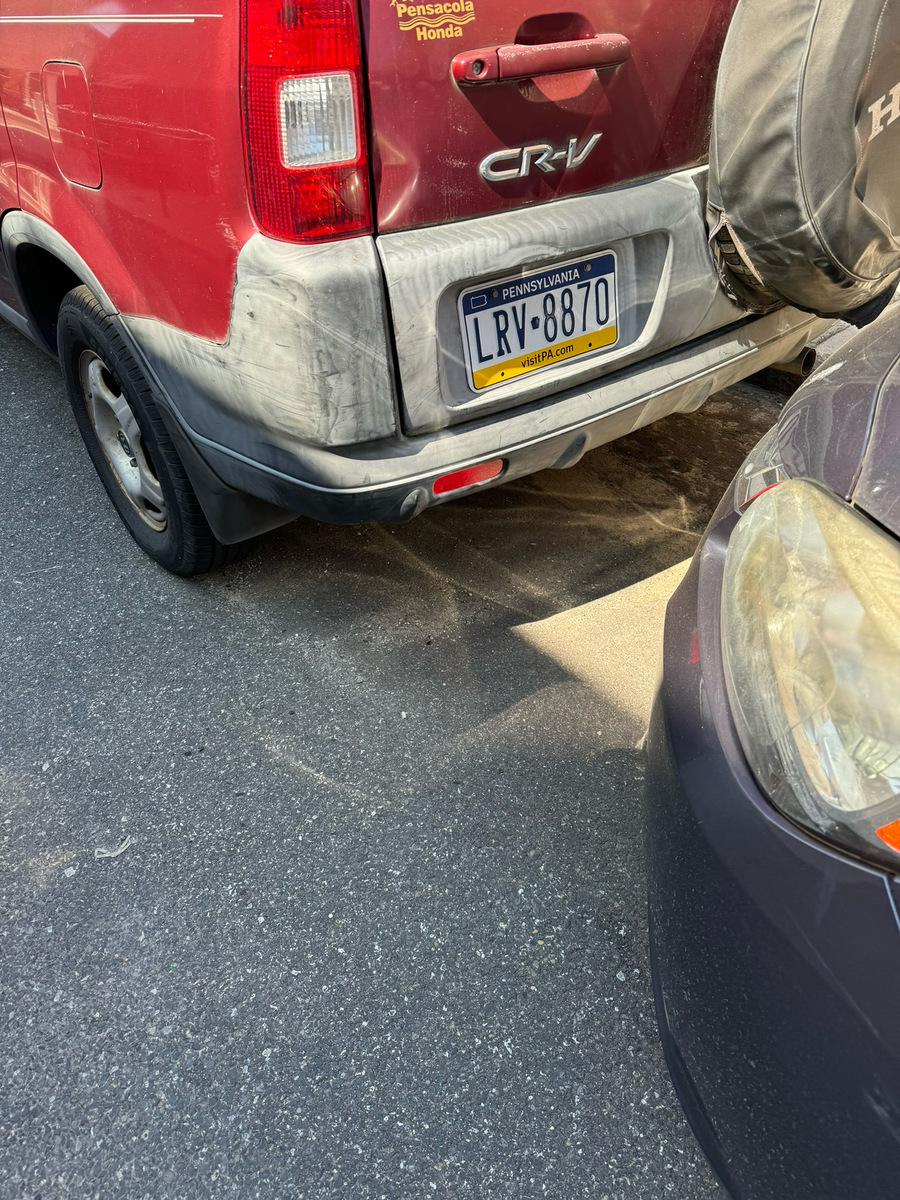 Photographic documentation of the work as submitted to the city's 311 record.