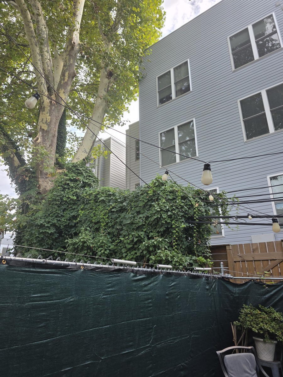 Photographic documentation of the work as submitted to the city's 311 record.