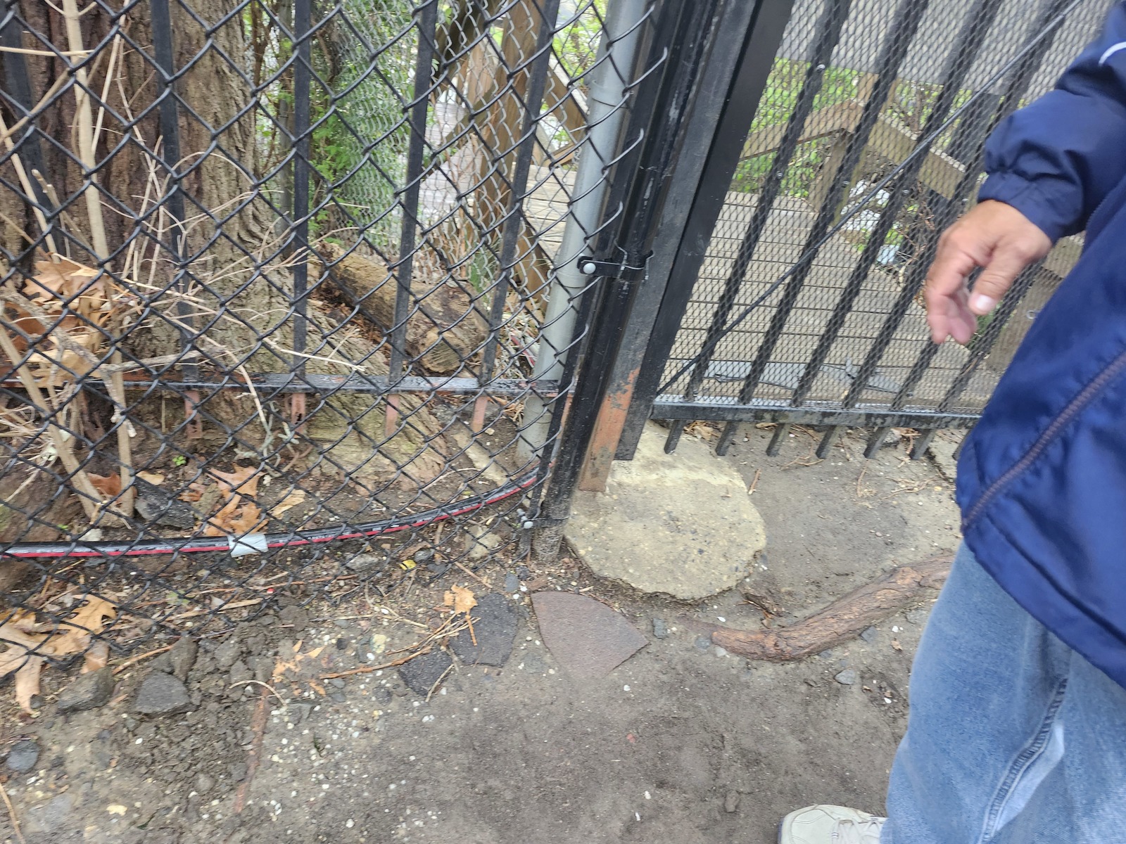 Photographic documentation of the work as submitted to the city's 311 record.