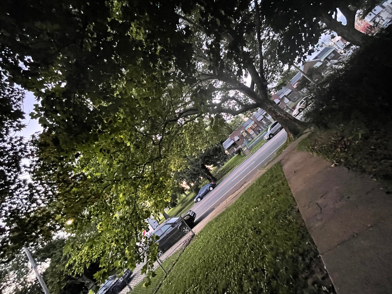 Photographic documentation of the work as submitted to the city's 311 record.