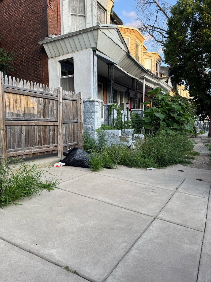 Photographic documentation of the work as submitted to the city's 311 record.