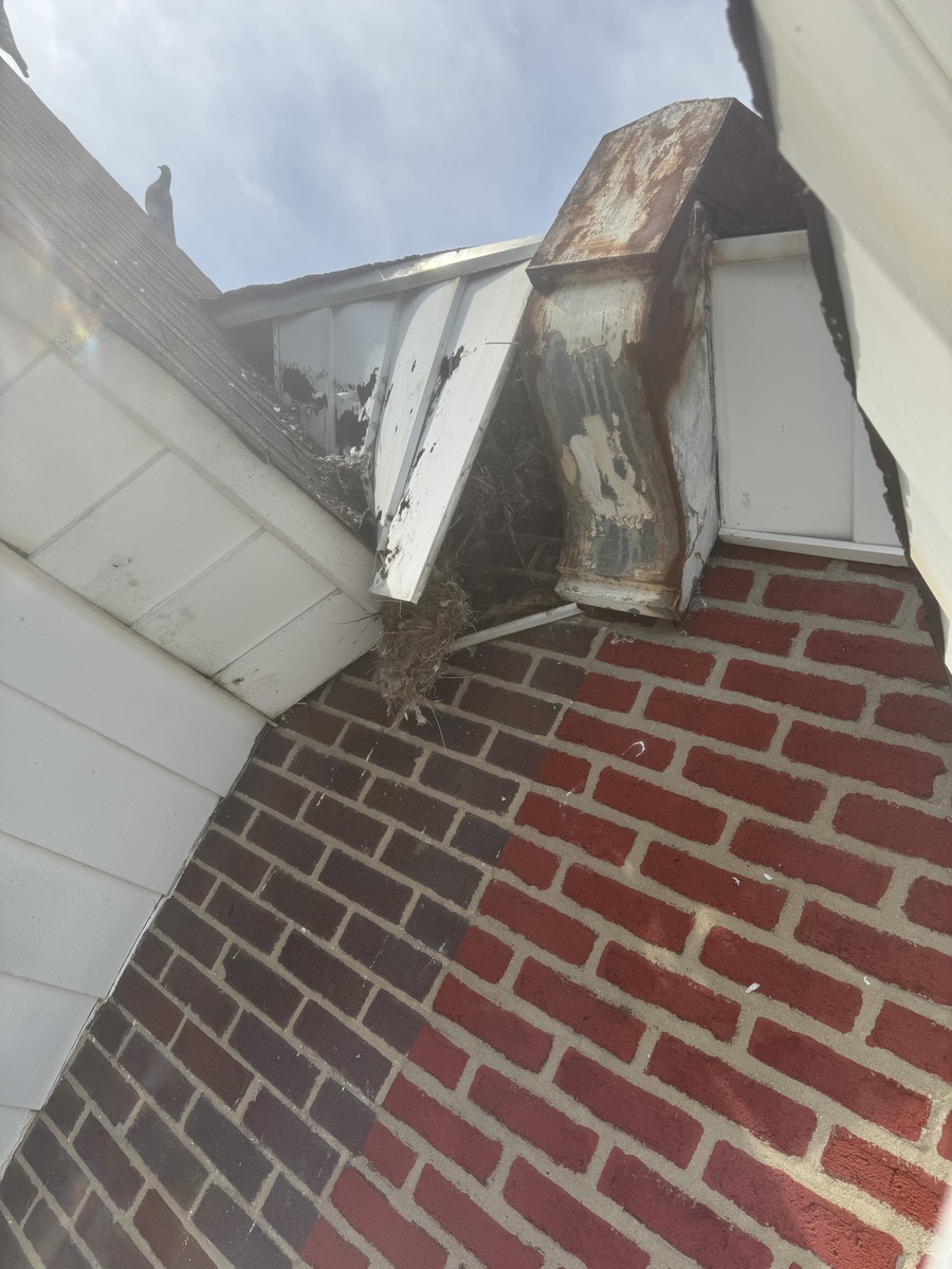 Photographic documentation of the work as submitted to the city's 311 record.