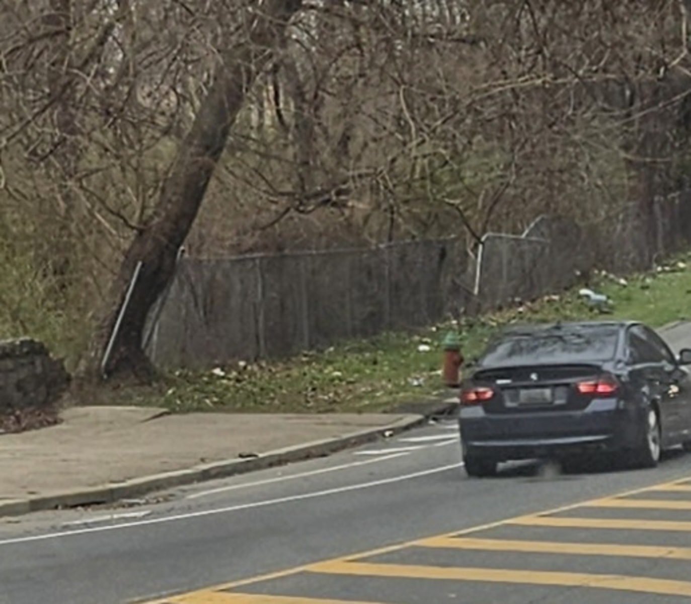 Photographic documentation of the work as submitted to the city's 311 record.