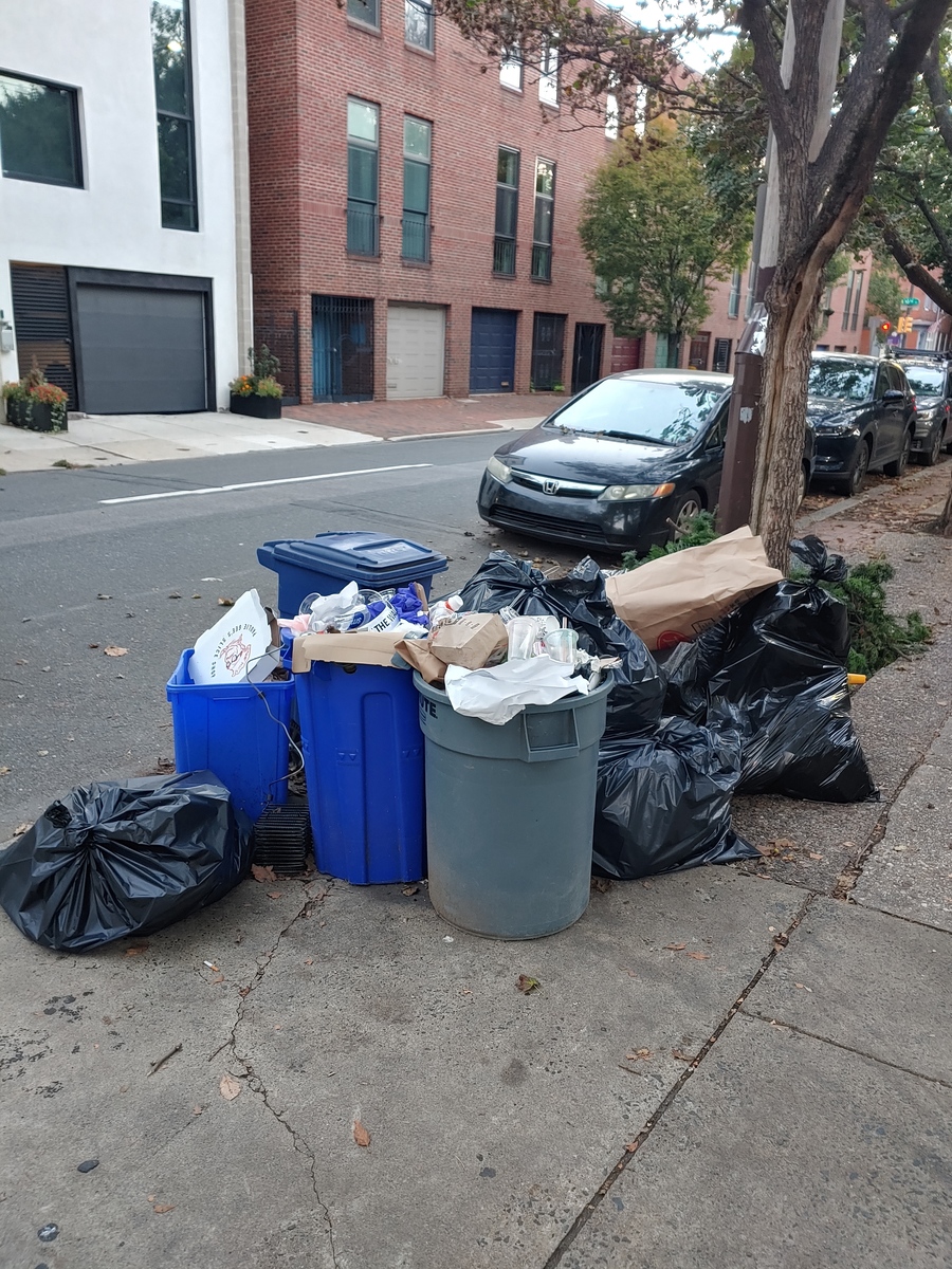 Photographic documentation of the work as submitted to the city's 311 record.