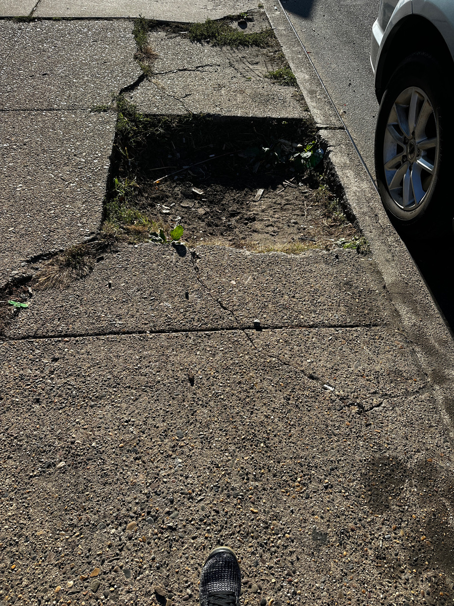 Photographic documentation of the work as submitted to the city's 311 record.