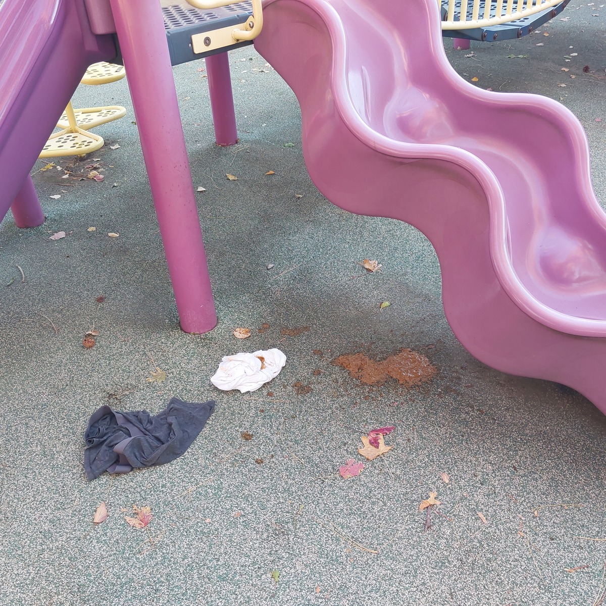 Photographic documentation of the work as submitted to the city's 311 record.