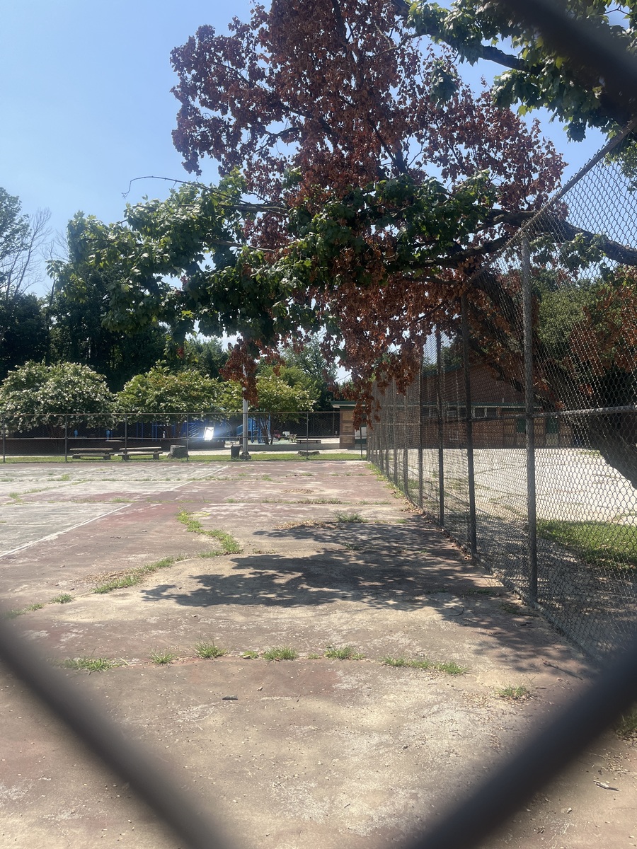 Photographic documentation of the work as submitted to the city's 311 record.