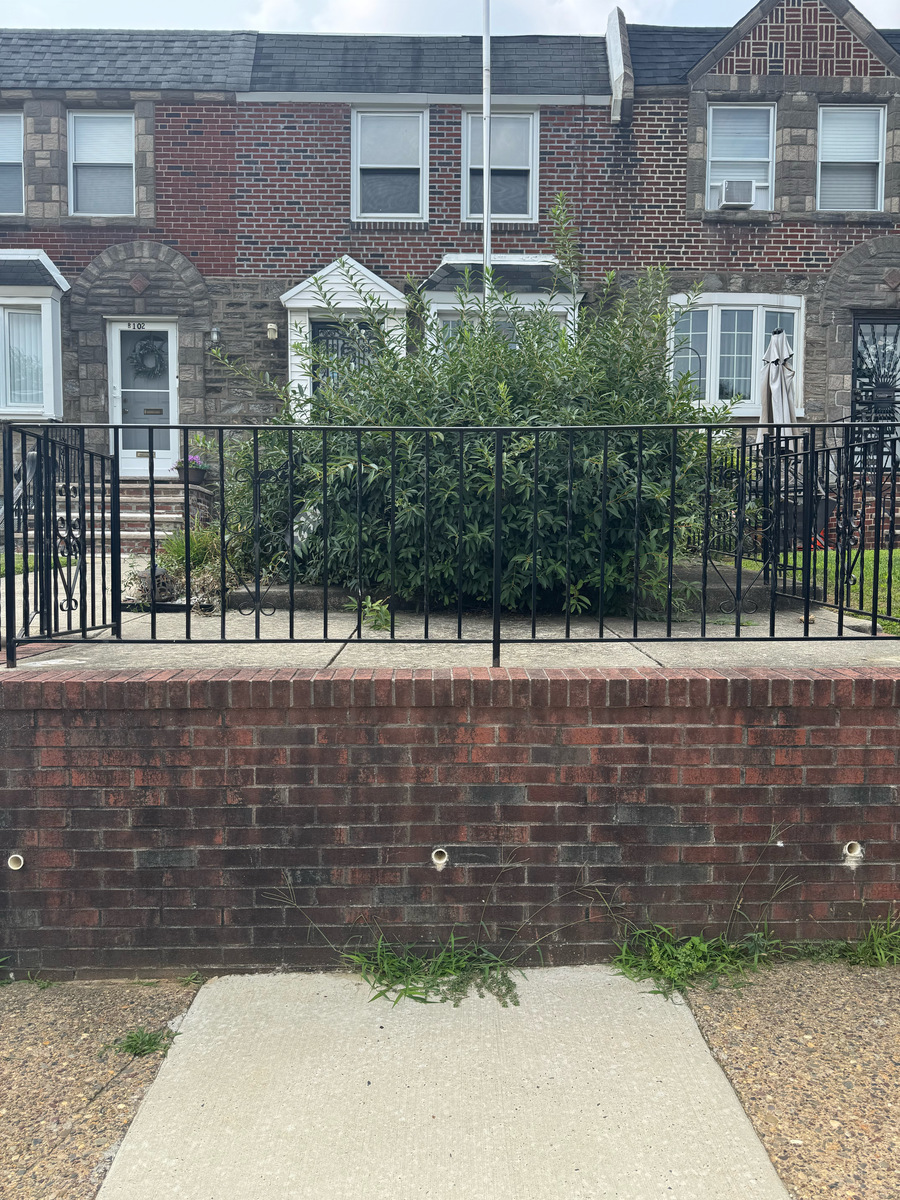 Photographic documentation of the work as submitted to the city's 311 record.