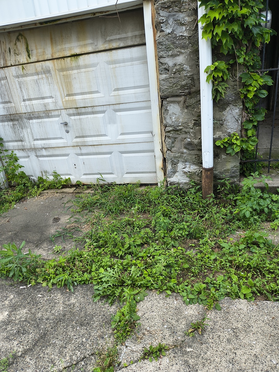 Photographic documentation of the work as submitted to the city's 311 record.
