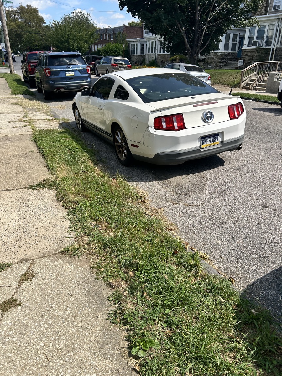 Photographic documentation of the work as submitted to the city's 311 record.