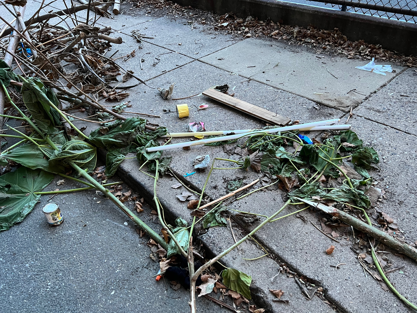 Photographic documentation of the work as submitted to the city's 311 record.