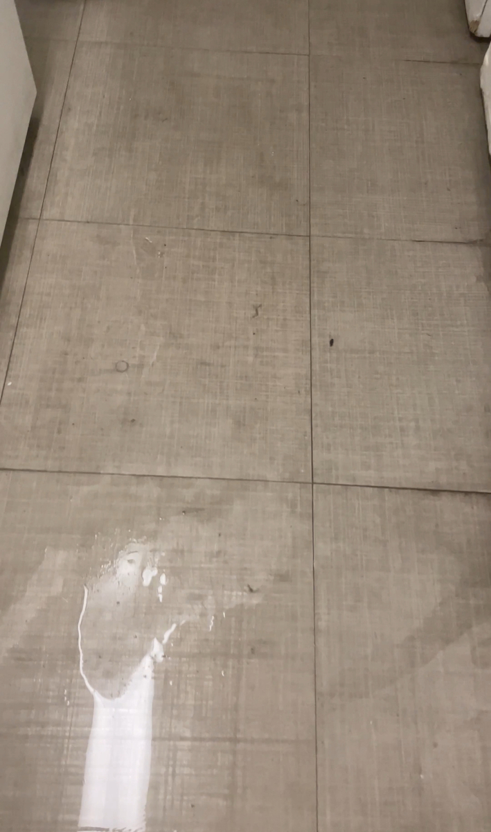 Photographic documentation of the work as submitted to the city's 311 record.