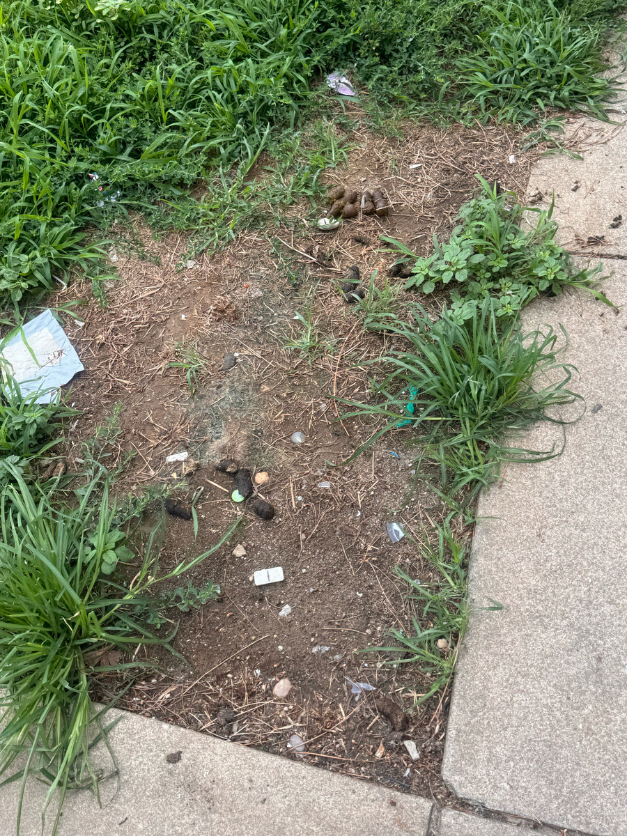 Photographic documentation of the work as submitted to the city's 311 record.
