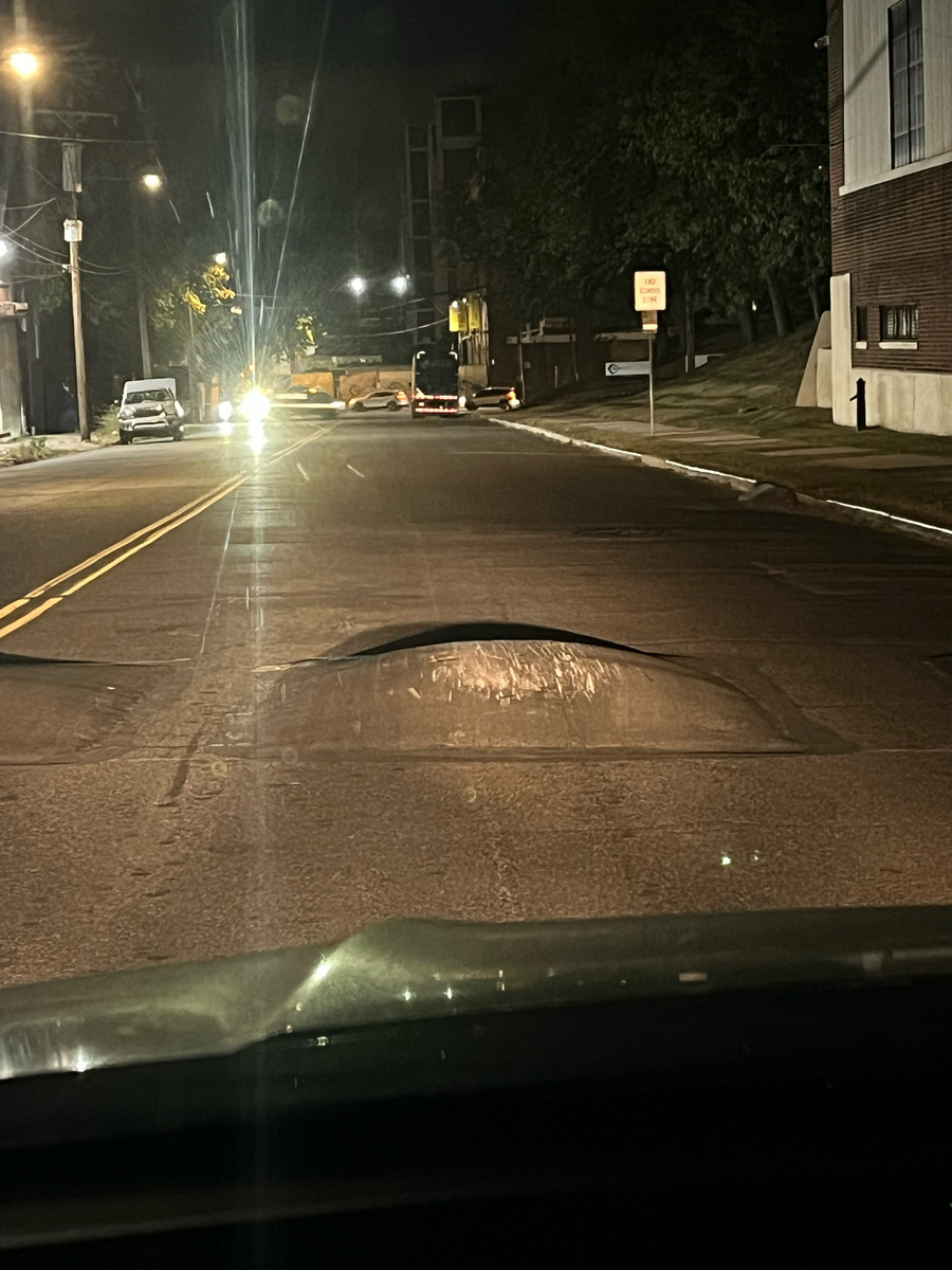 Photographic documentation of the work as submitted to the city's 311 record.