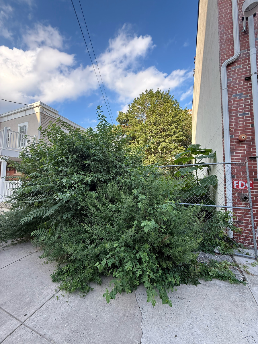 Photographic documentation of the work as submitted to the city's 311 record.