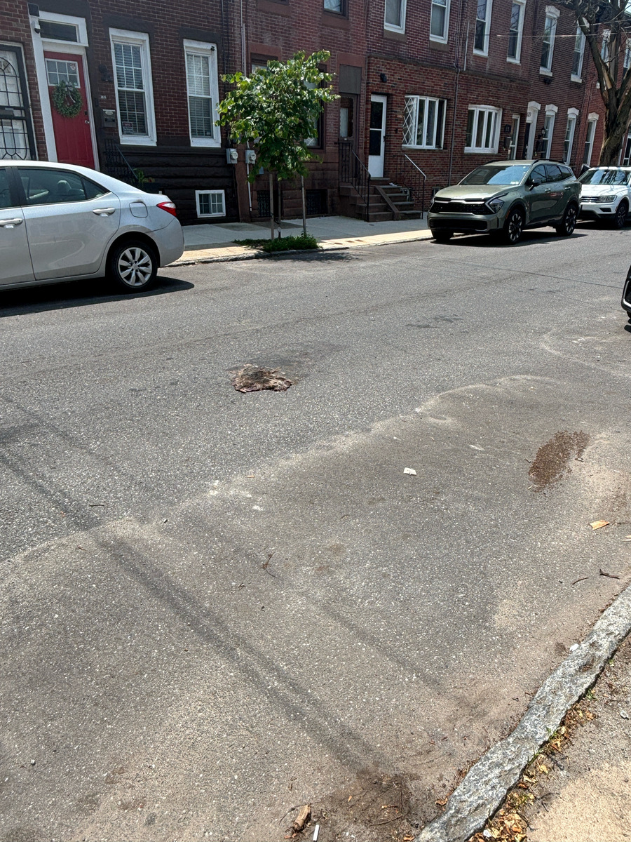Photographic documentation of the work as submitted to the city's 311 record.