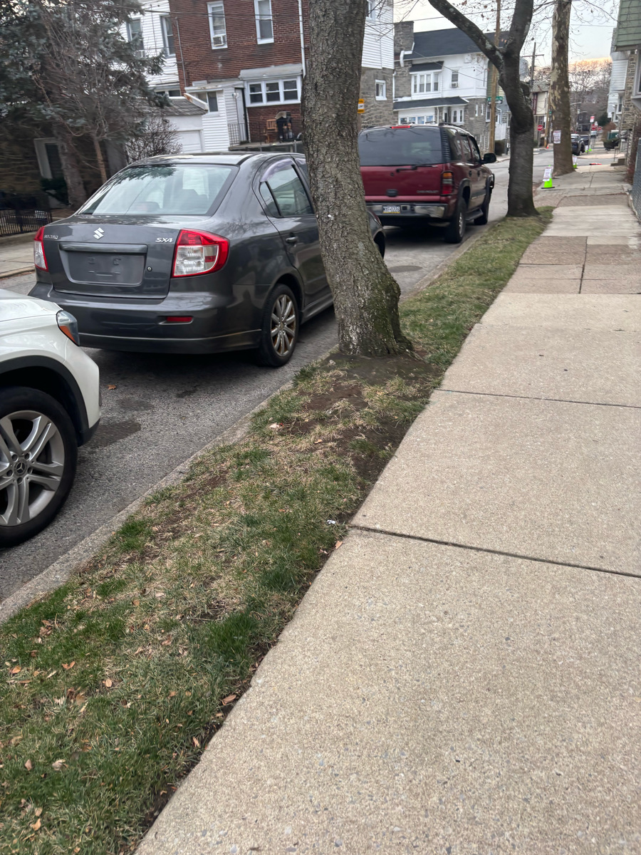 Photographic documentation of the work as submitted to the city's 311 record.