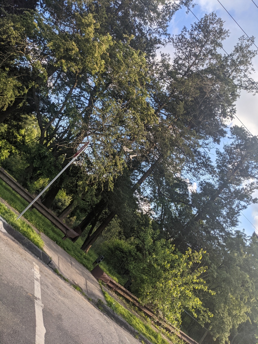 Photographic documentation of the work as submitted to the city's 311 record.