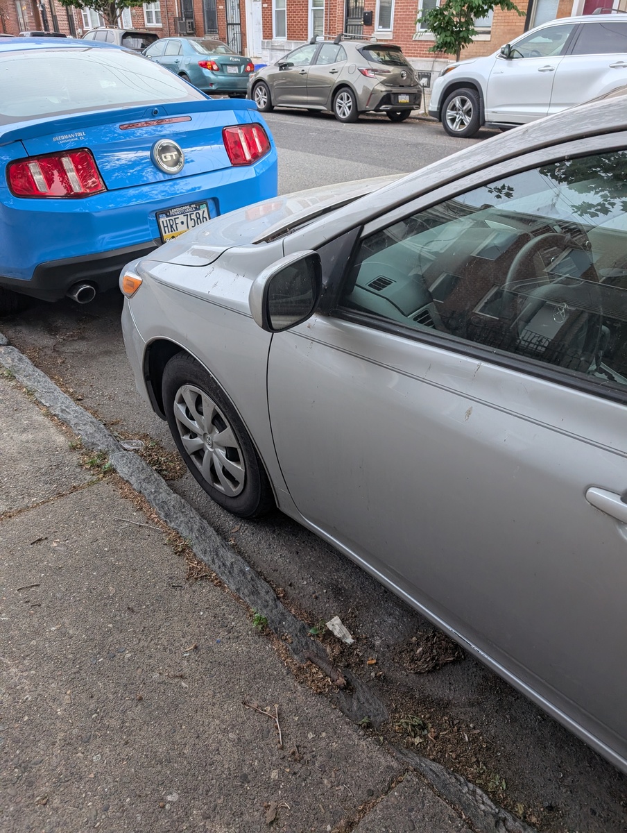 Photographic documentation of the work as submitted to the city's 311 record.