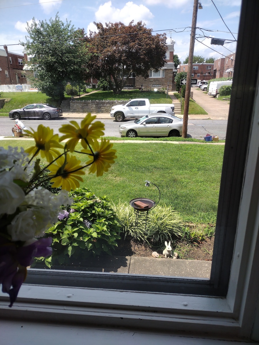 Photographic documentation of the work as submitted to the city's 311 record.