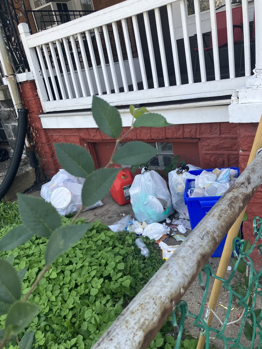 Photographic documentation of the work as submitted to the city's 311 record.