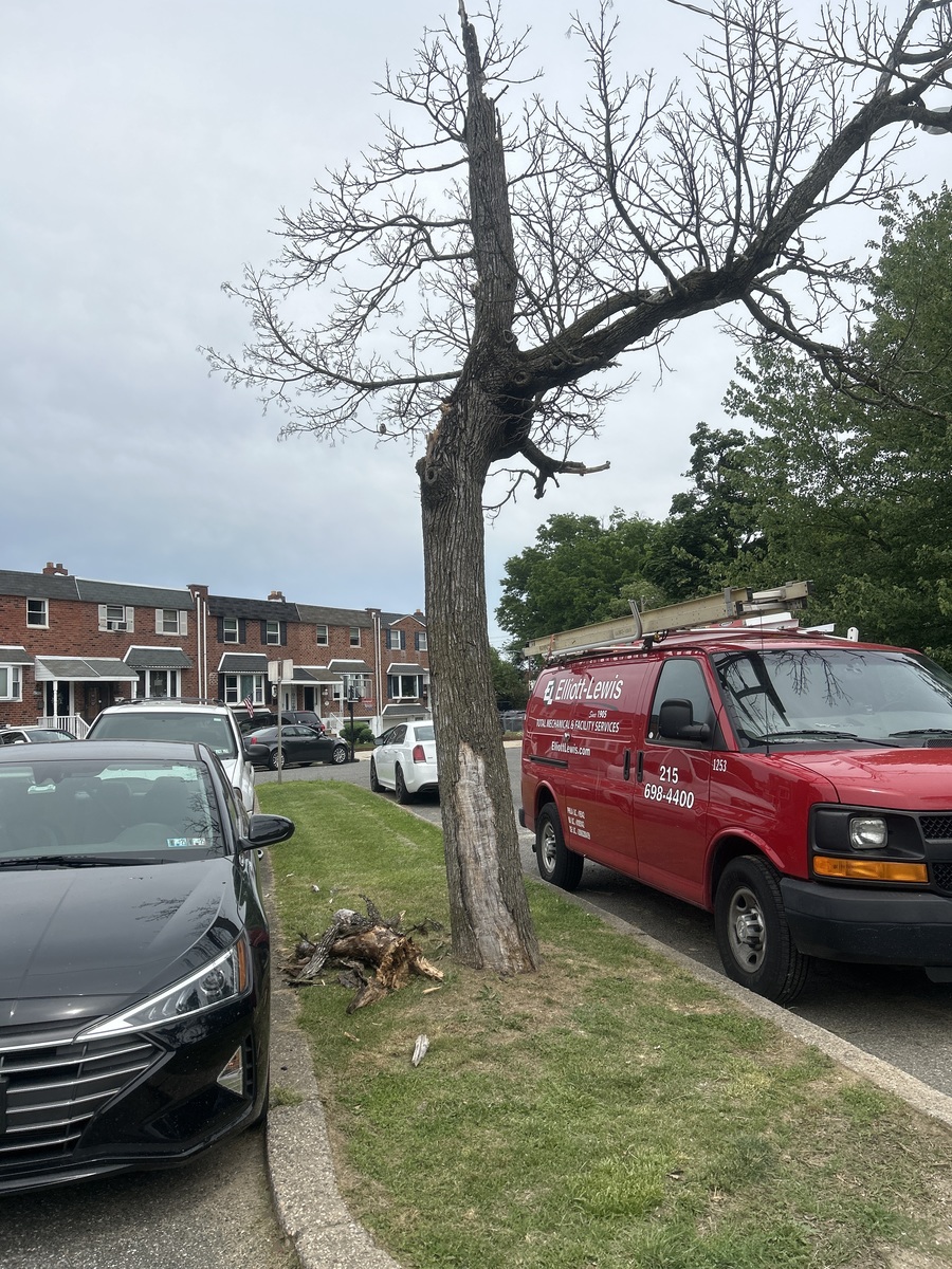 Photographic documentation of the work as submitted to the city's 311 record.