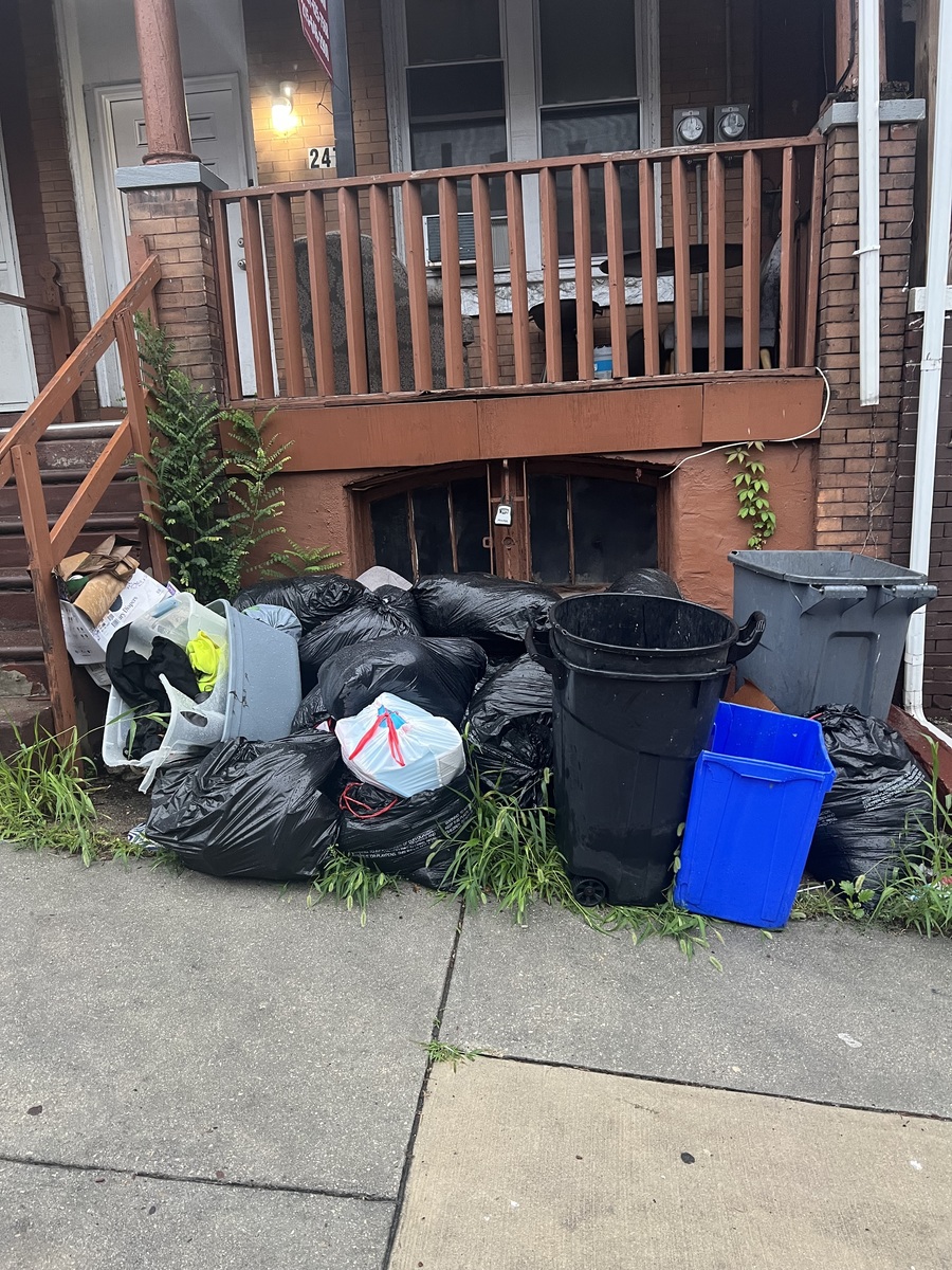 Photographic documentation of the work as submitted to the city's 311 record.