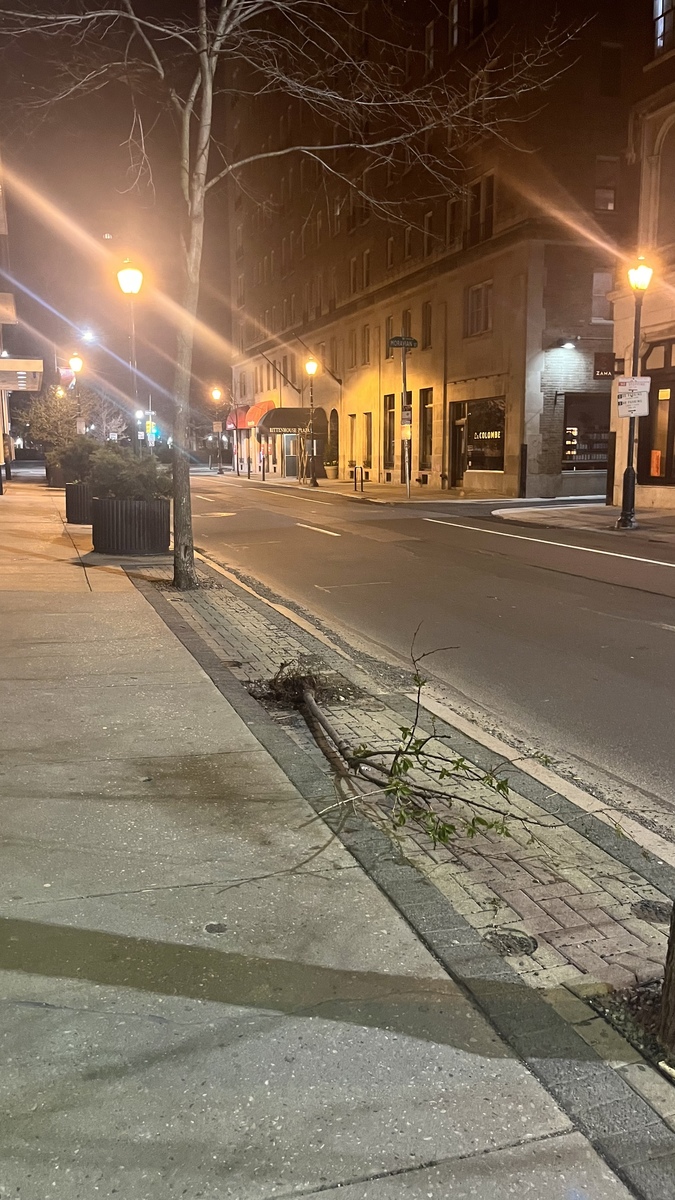 Photographic documentation of the work as submitted to the city's 311 record.