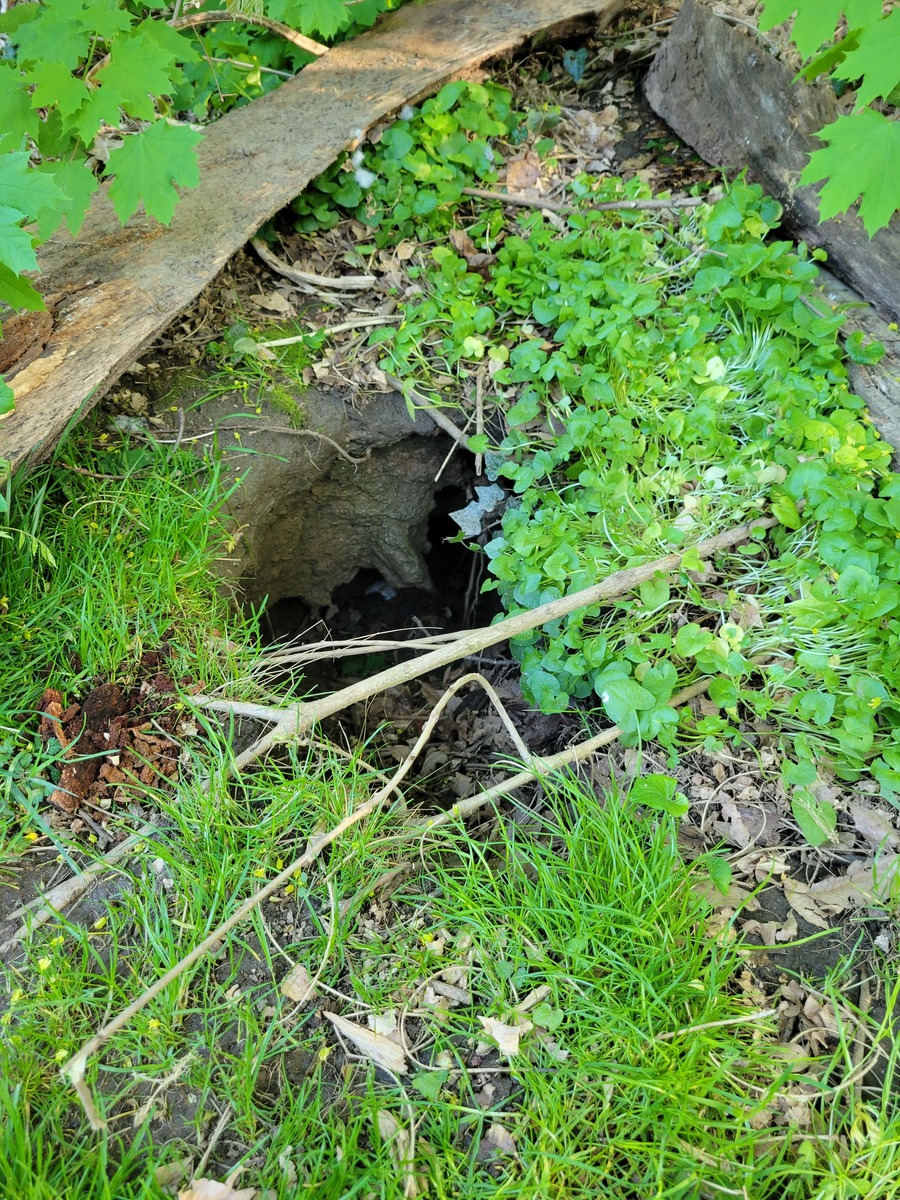 Photographic documentation of the work as submitted to the city's 311 record.