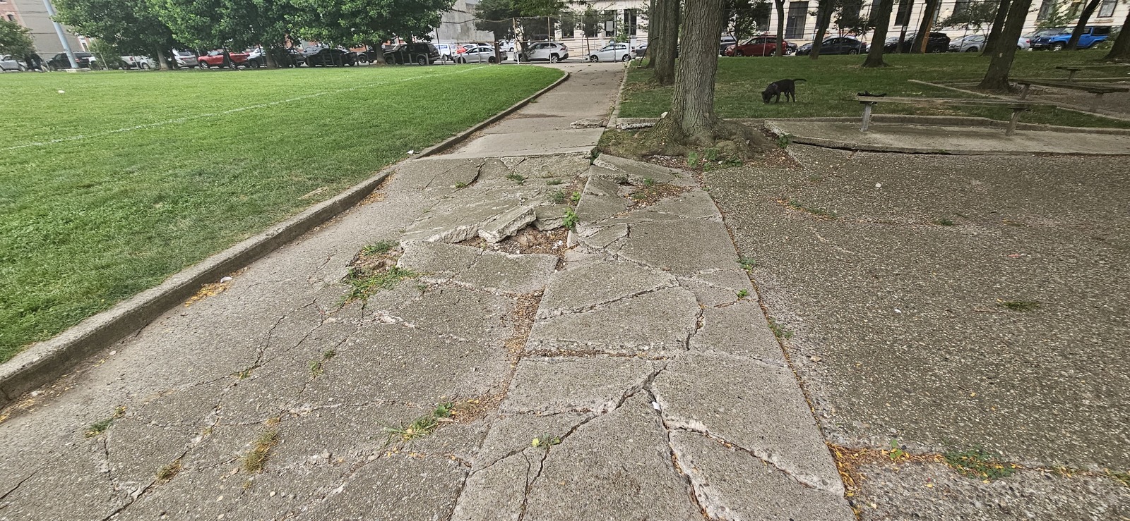 Photographic documentation of the work as submitted to the city's 311 record.