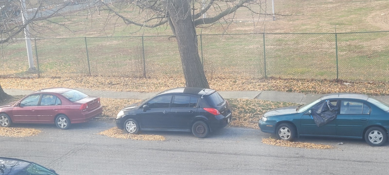 Photographic documentation of the work as submitted to the city's 311 record.