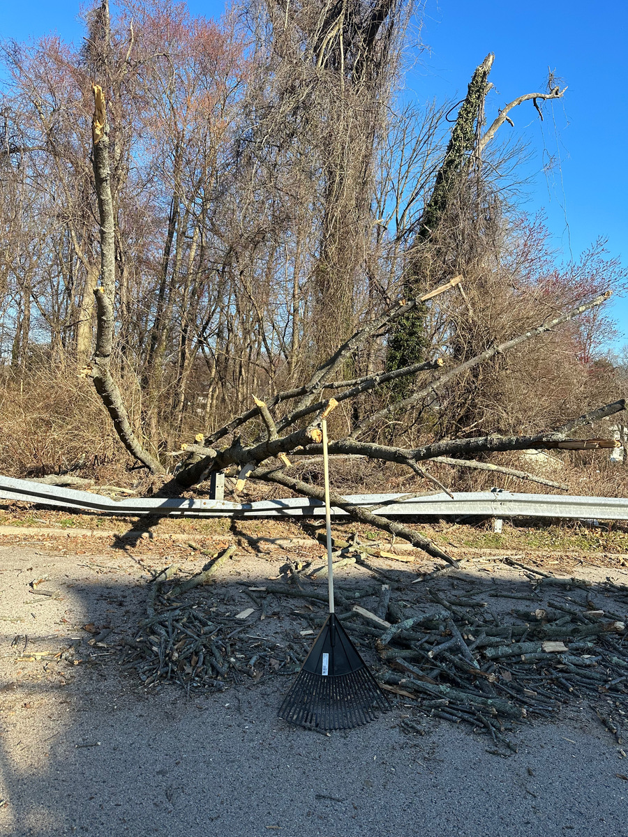 Photographic documentation of the work as submitted to the city's 311 record.