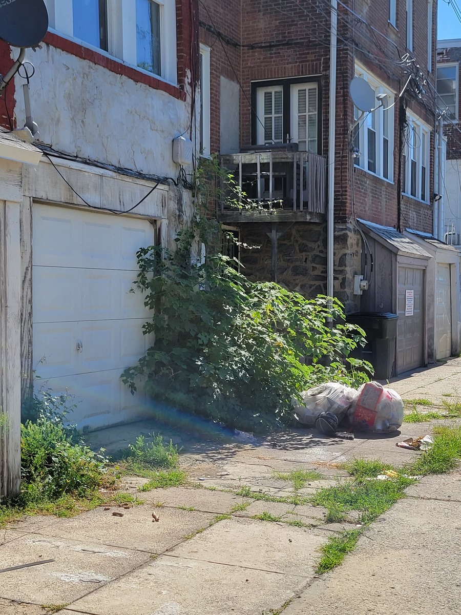 Photographic documentation of the work as submitted to the city's 311 record.