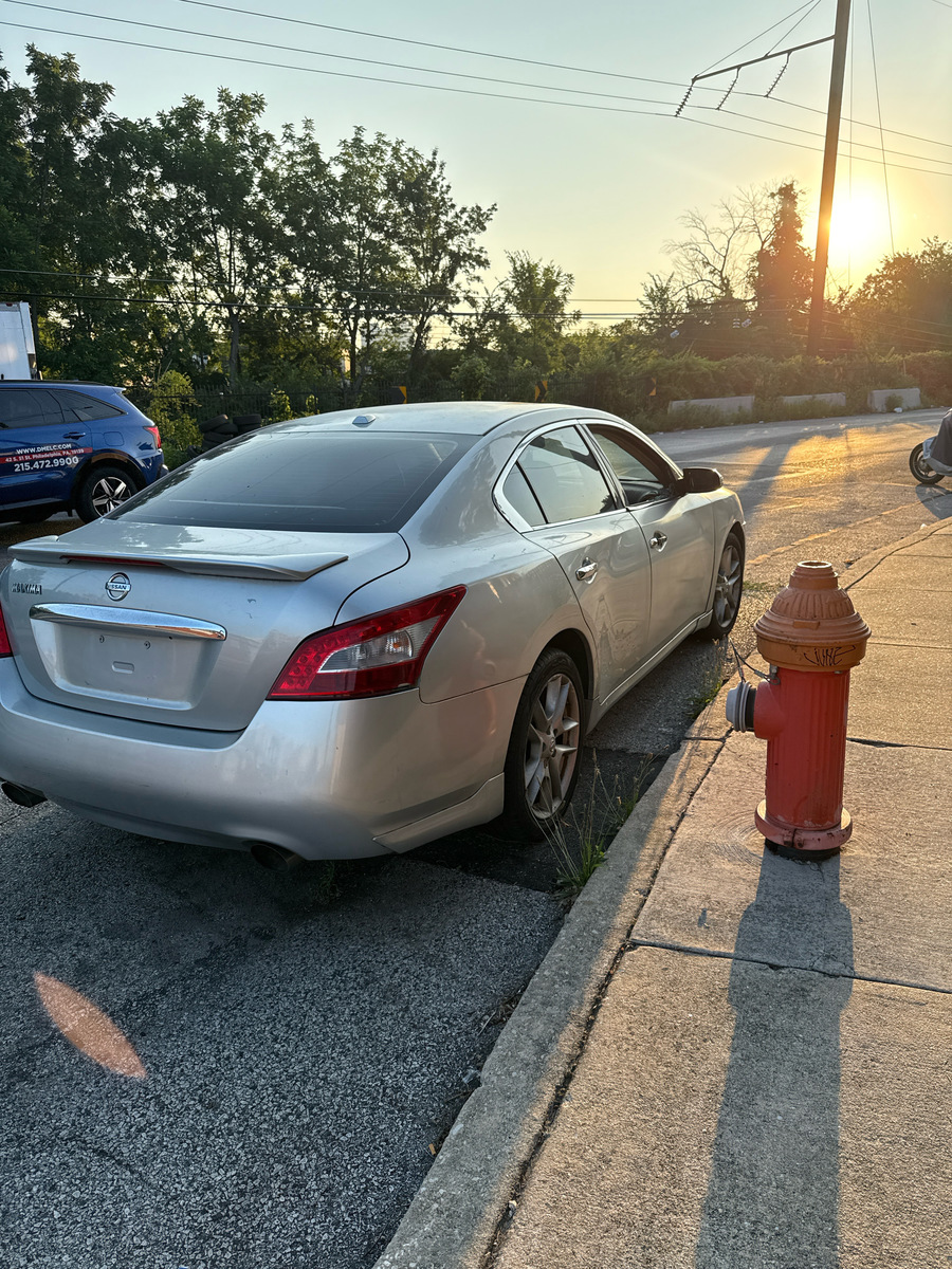 Photographic documentation of the work as submitted to the city's 311 record.