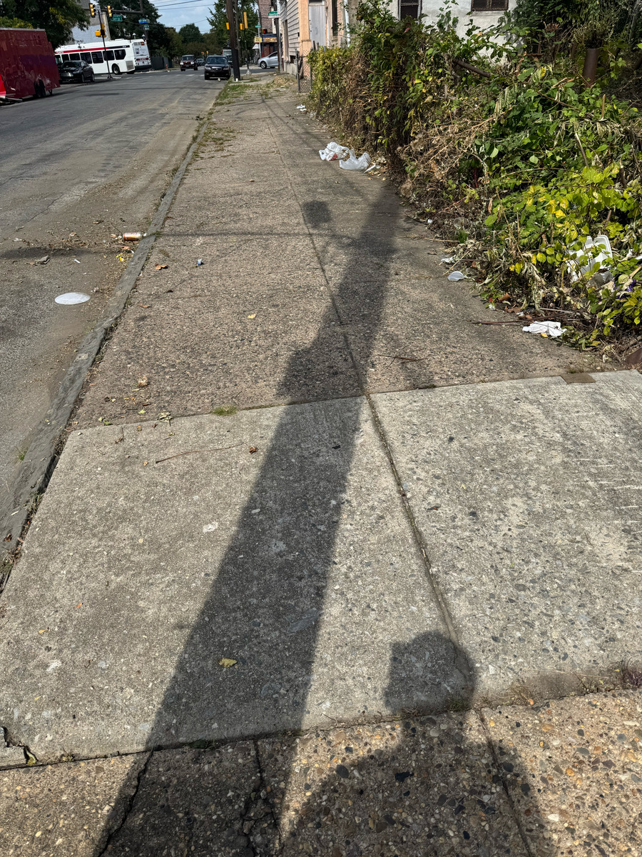Photographic documentation of the work as submitted to the city's 311 record.