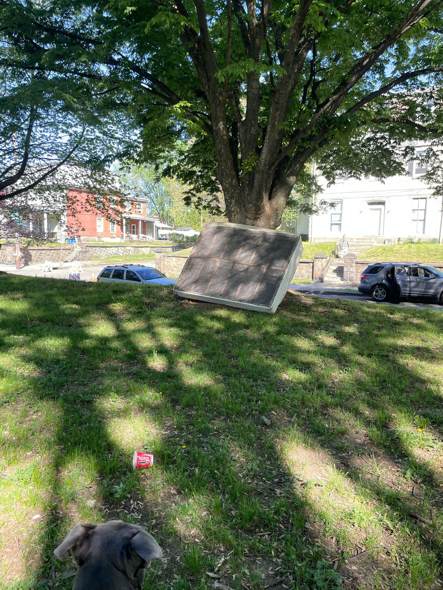 Photographic documentation of the work as submitted to the city's 311 record.