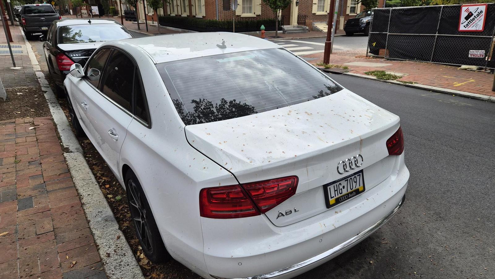 Photographic documentation of the work as submitted to the city's 311 record.